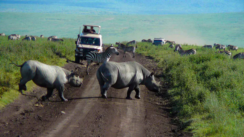 3 Day Safari to Tarangire & Ngorongoro Crater