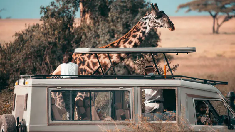 9 Day - A Tanzania Journey - Midrange