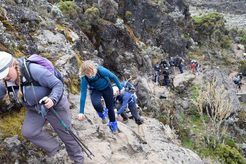 6-Day Mount Kilimanjaro Climb Umbwe Route