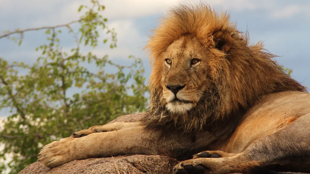4-Day crater, olduvai gorge and serengeti