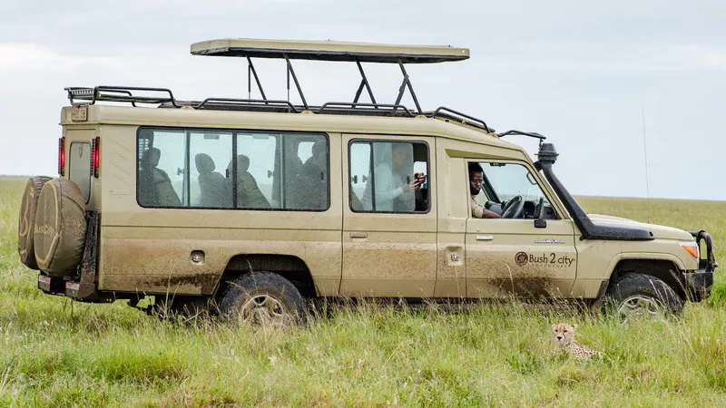 7 Day - Tanzania Safari Vacation - Midrange