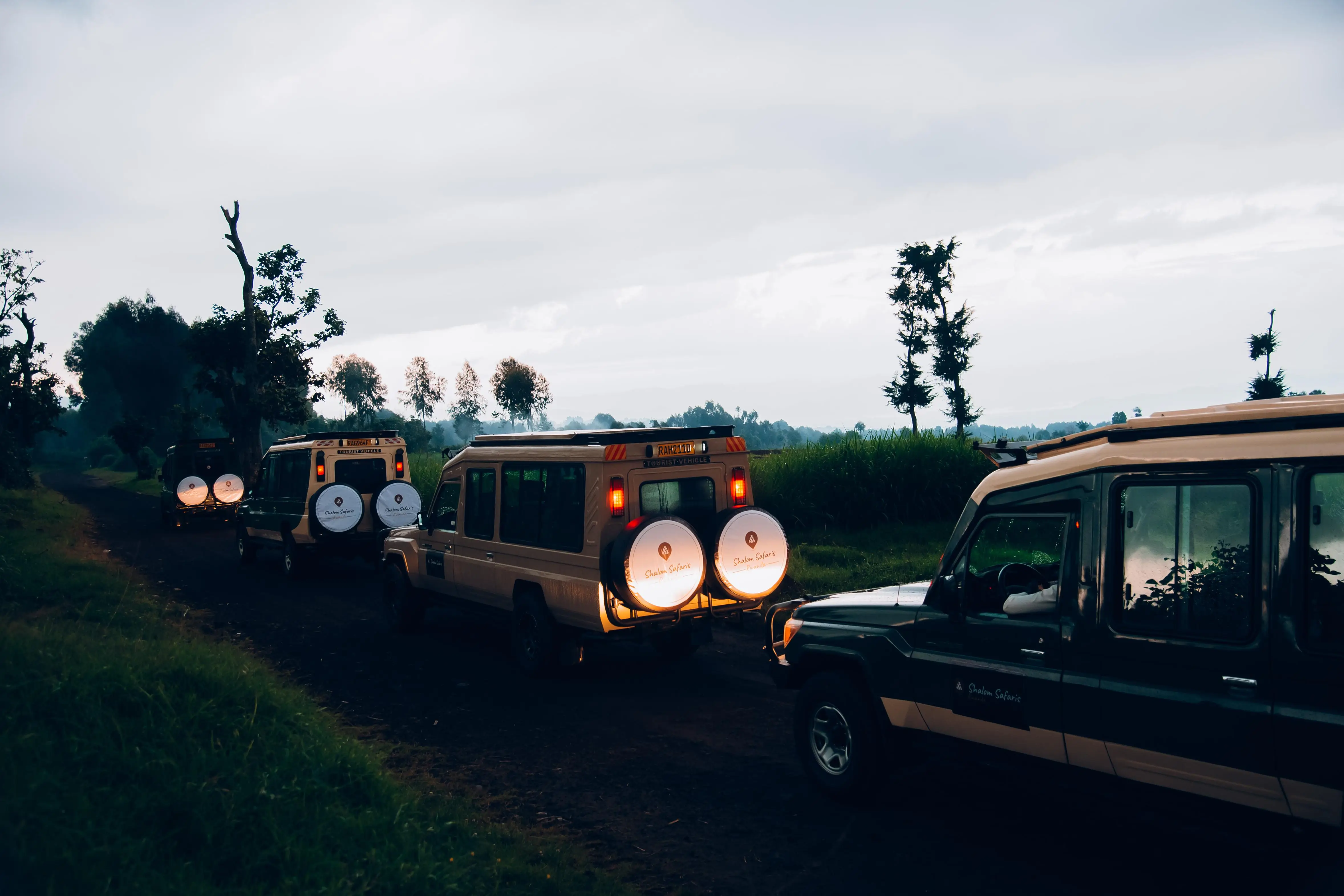 2 Days, Rwanda Gorilla & Golden Monkey trekking experience.