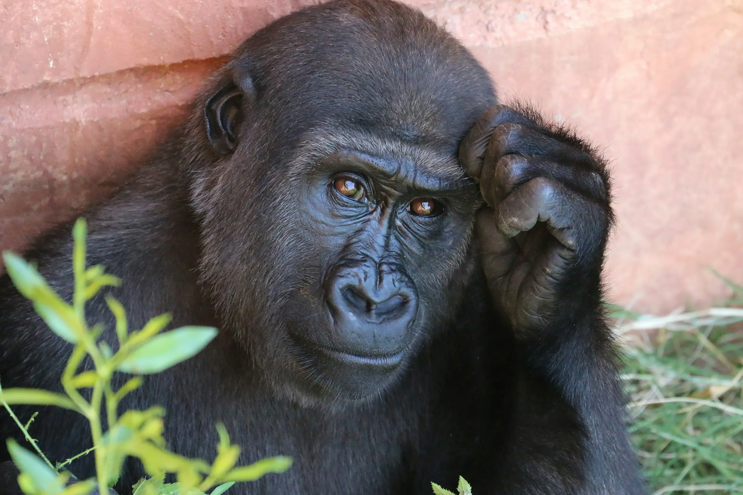 5-Day Luxury Tanzania Safari & Cultural Experience