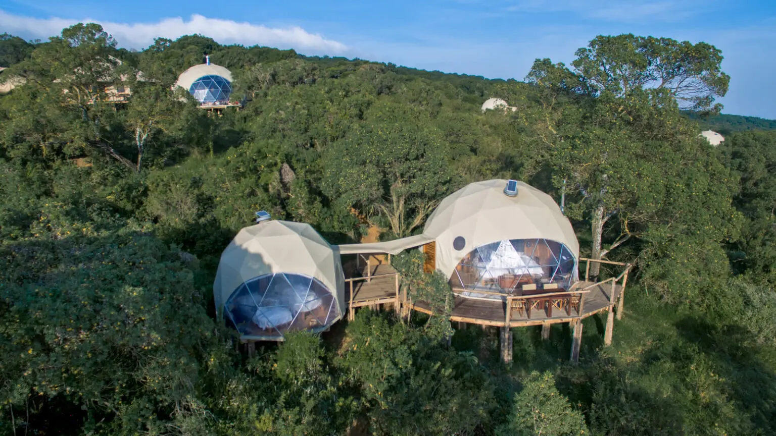 7 Days Best Tanzania Luxury Safari