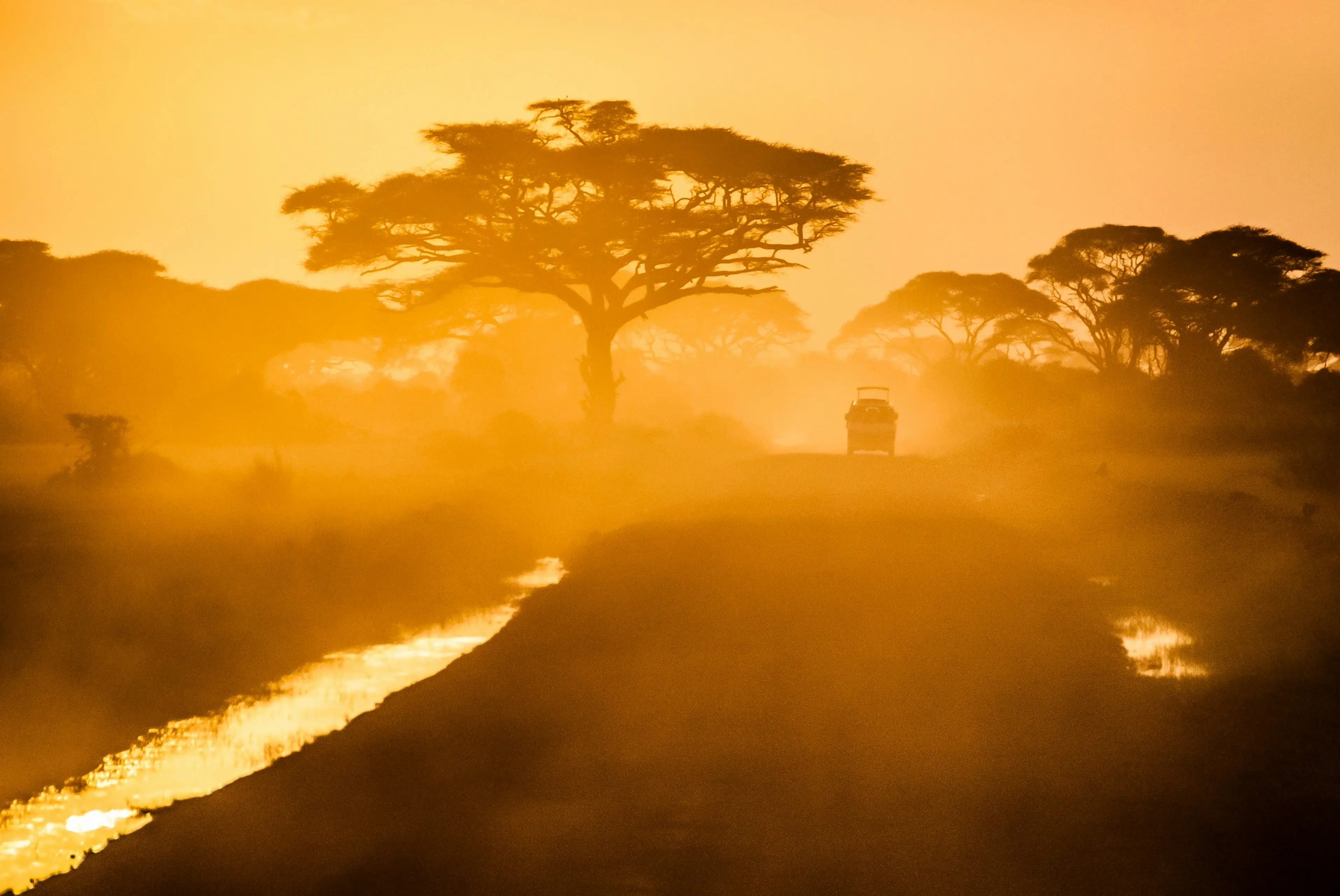 2-Day Fly-in Big Five Safari