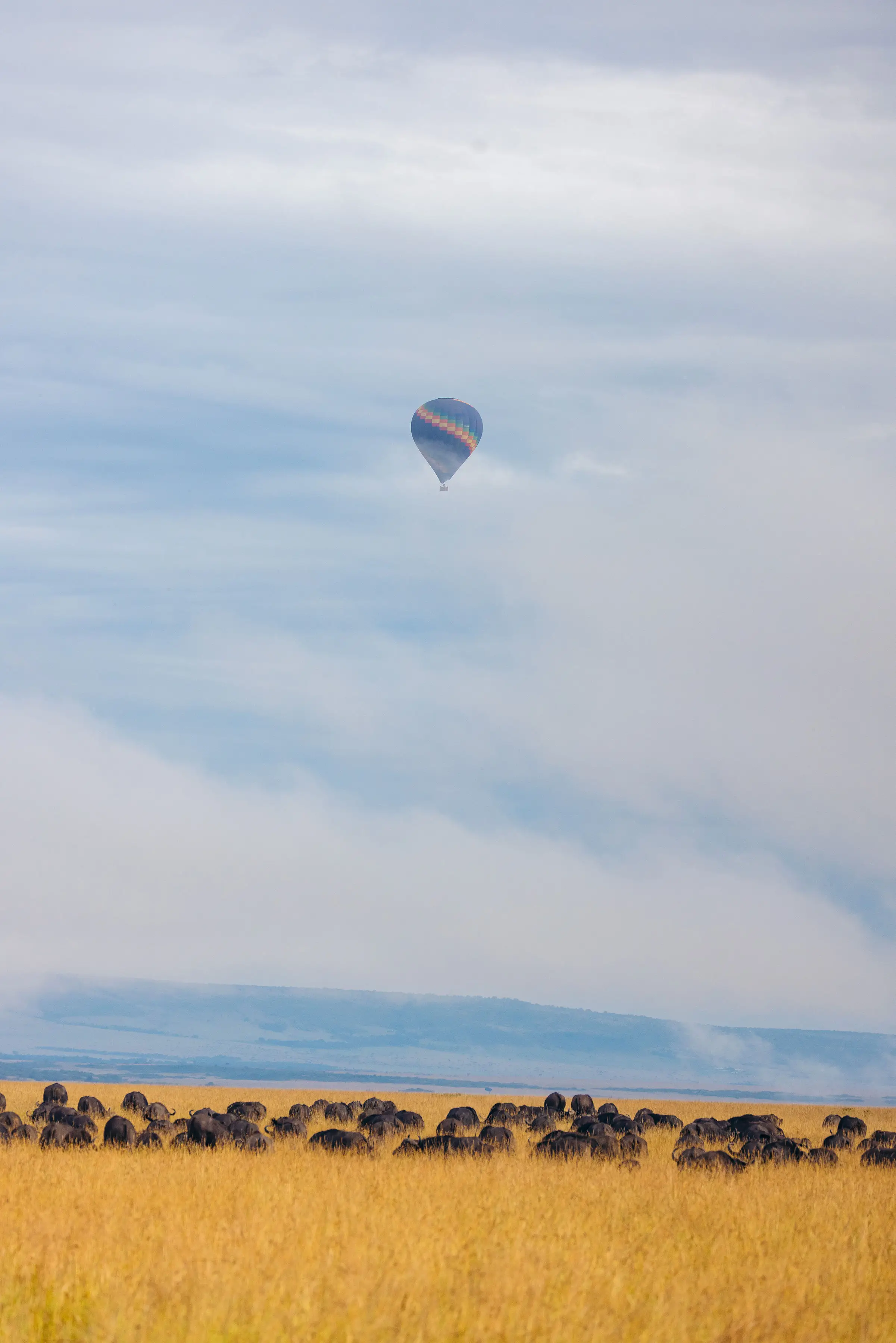 9-Days Kenya and Tanzania Chinease New Year Private Safari offer !!
