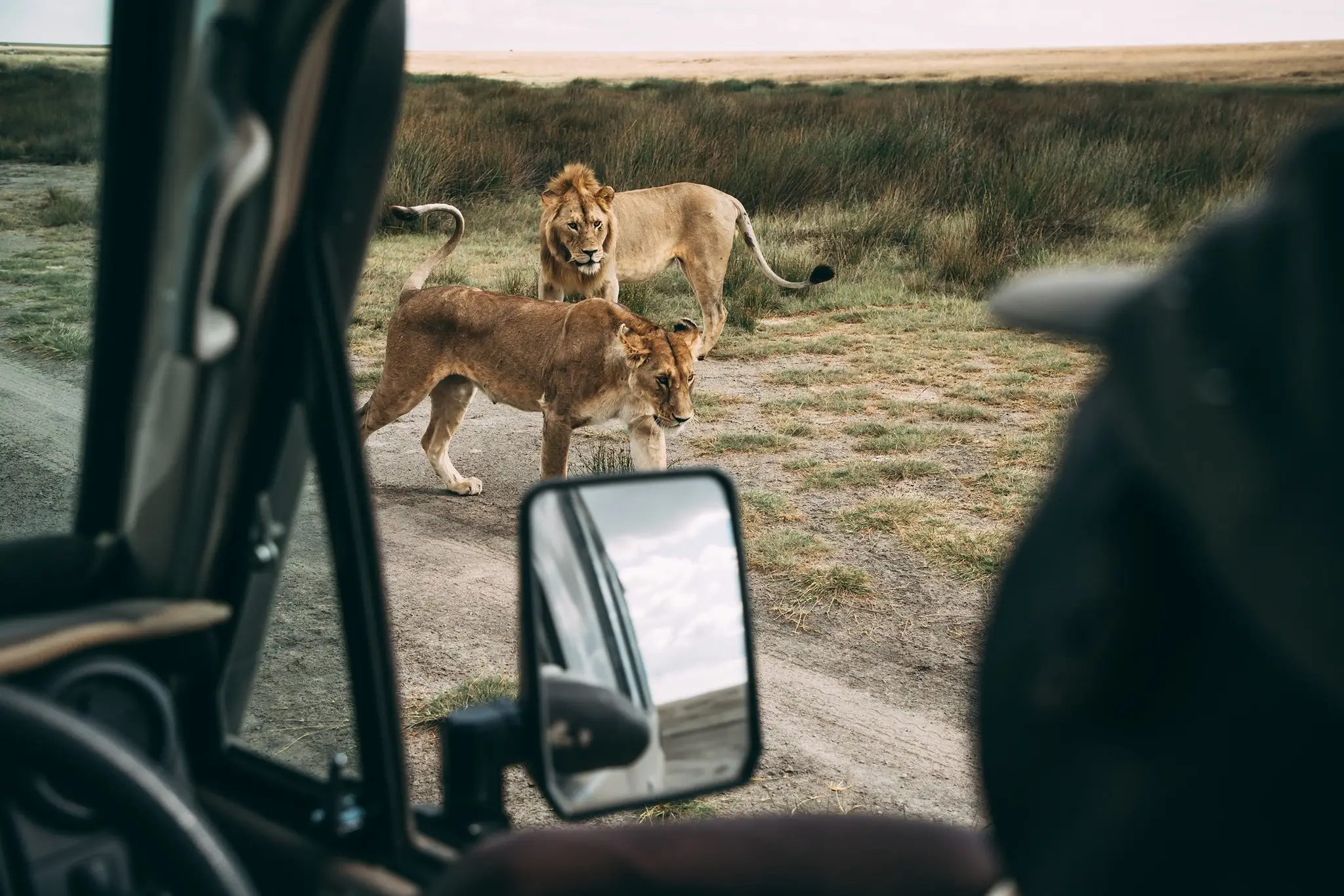 Day Trip - Tarangire National Park from Arusha