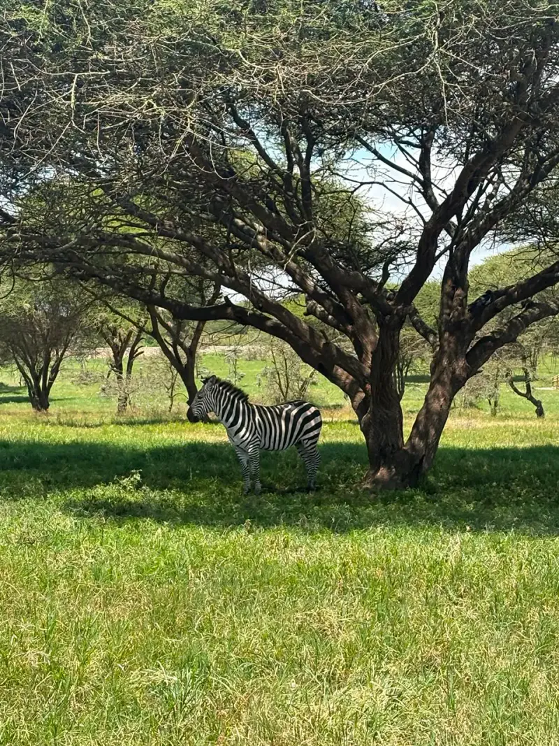 A 1Day private trip to Serval Wildlife sanctuary