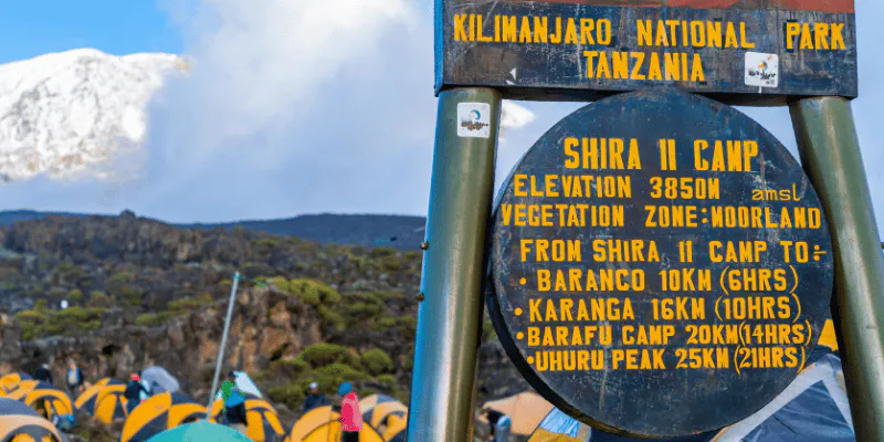 1day Muntain Kilimanjaro climb Machame Route