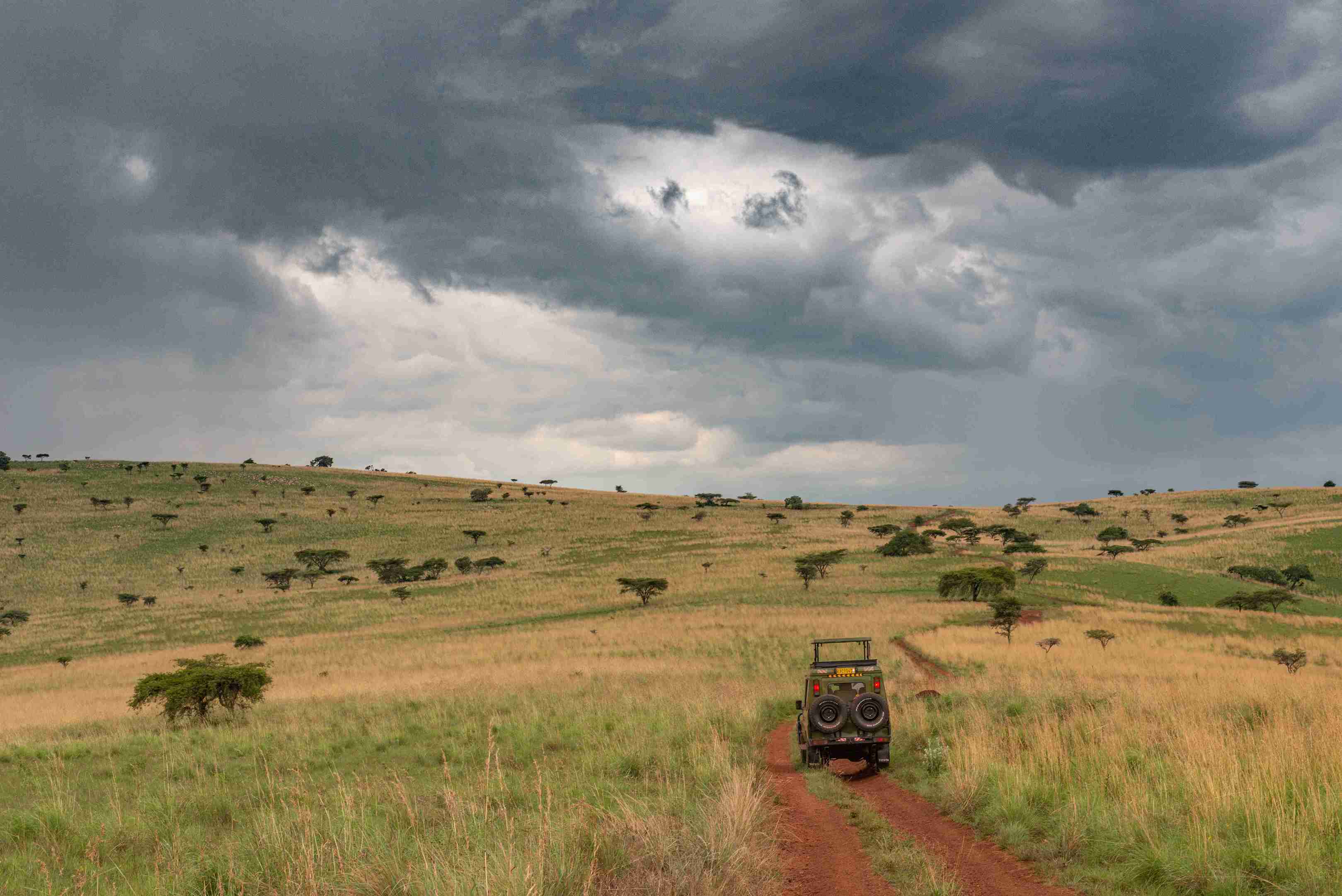 1 Days Akagera Wildlife Safaris - Kingfisher Journeys - Safarigo