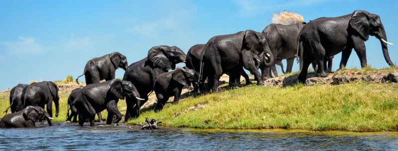 6-days Safari- Moremi Game Reserve + Khwai (Comfortable Camping Safari)