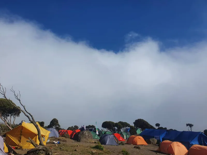 8-day Kilimanjaro Climbing Lemosho route