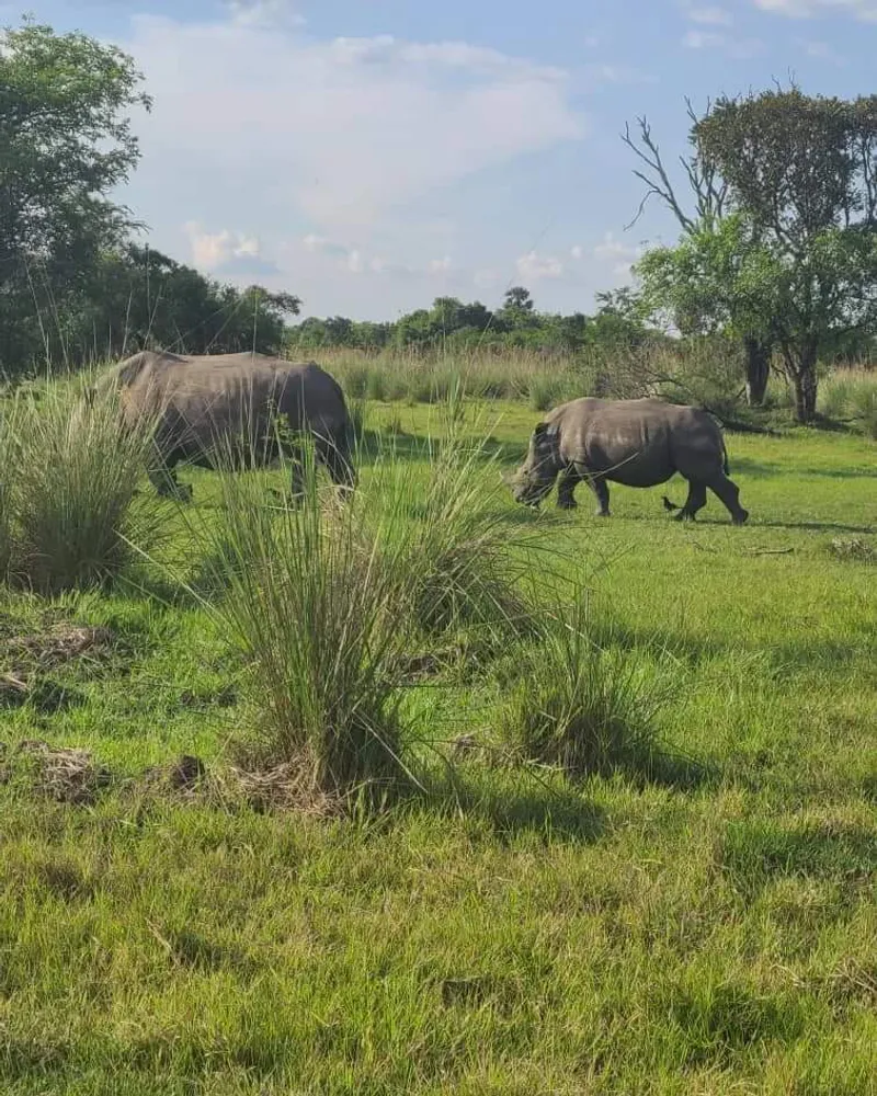 Exhilarating 5-Day Safari In Jinja & Murchison Falls NP