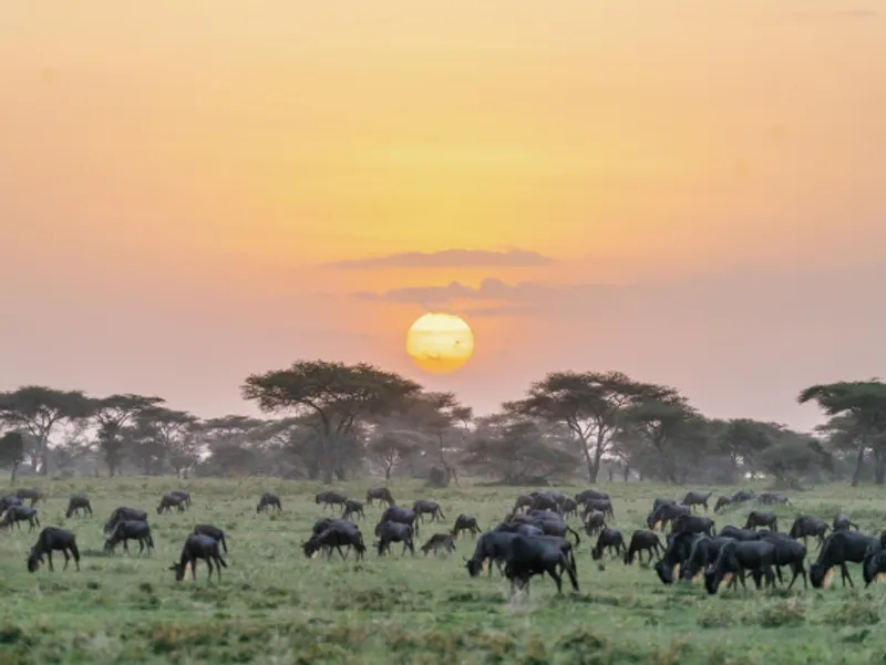 3-Day Serengeti and Ngorongoro Lodge Safari
