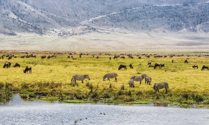 6-Day Tanzania Great Migration Safari