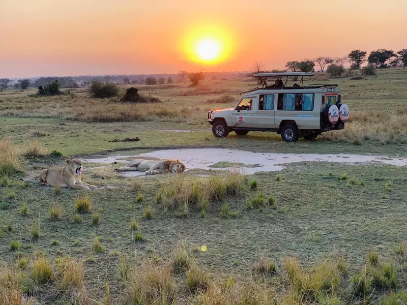 8 Days | The Best of Culture Safari & Calving Season