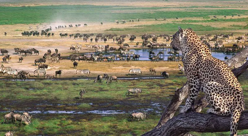 5-Days Tarangire , Serengeti and Ngorongoro Crater Extravagant Safari