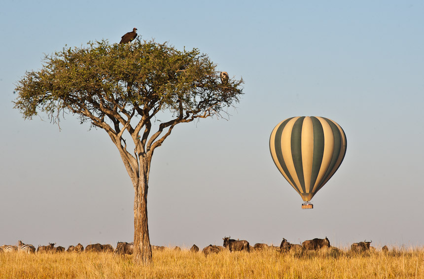 7 Days 6 Nights Tanzania Safari