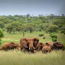 6-Day Prodigious Cultural Tour