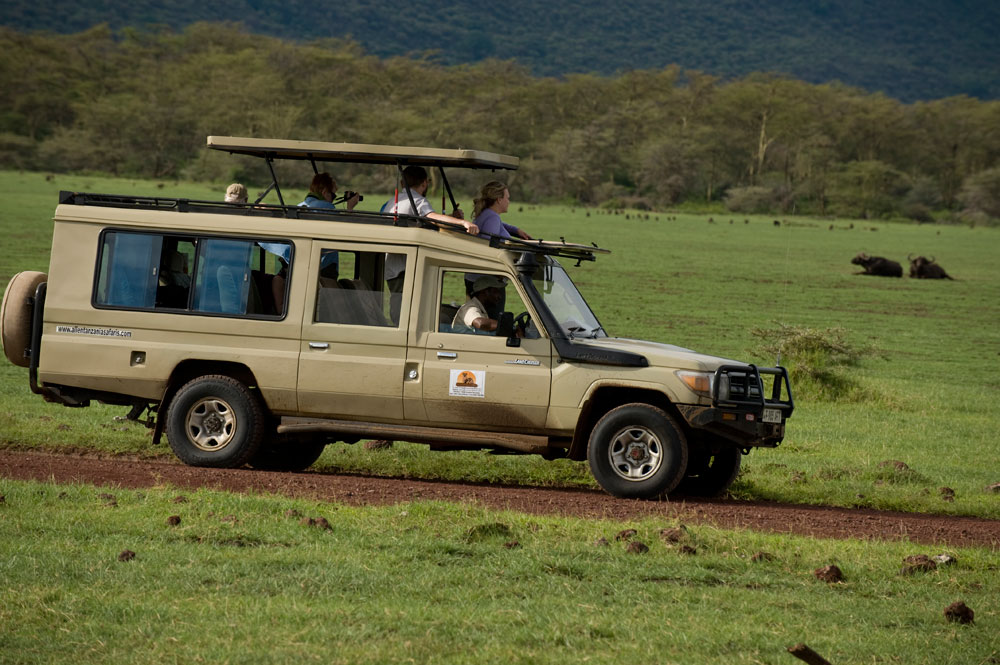 1-Day Amazing Day Trip to Tarangire/Manyara /Arusha Park
