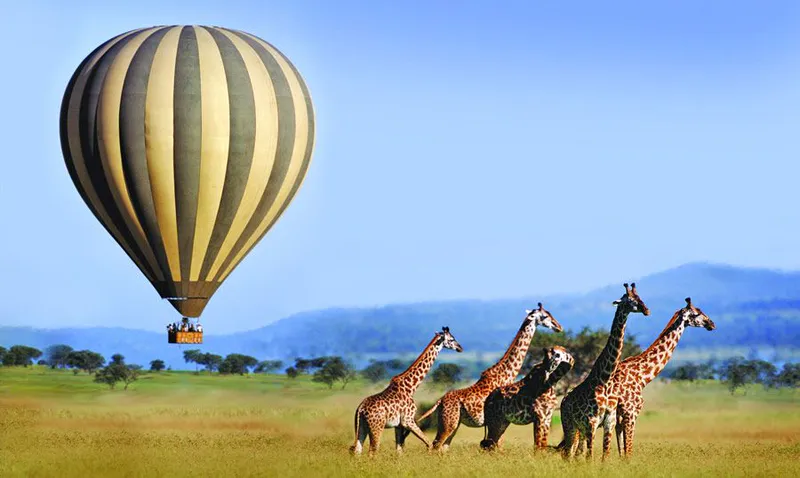 3-Day Tanzania Adventure: HUMAN ORIGINS TO SKY-HIGH SAFARIS