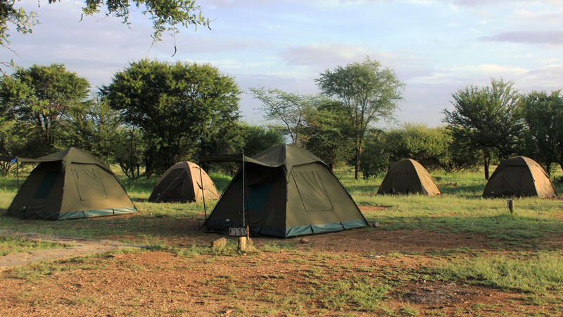 Nyani campsite