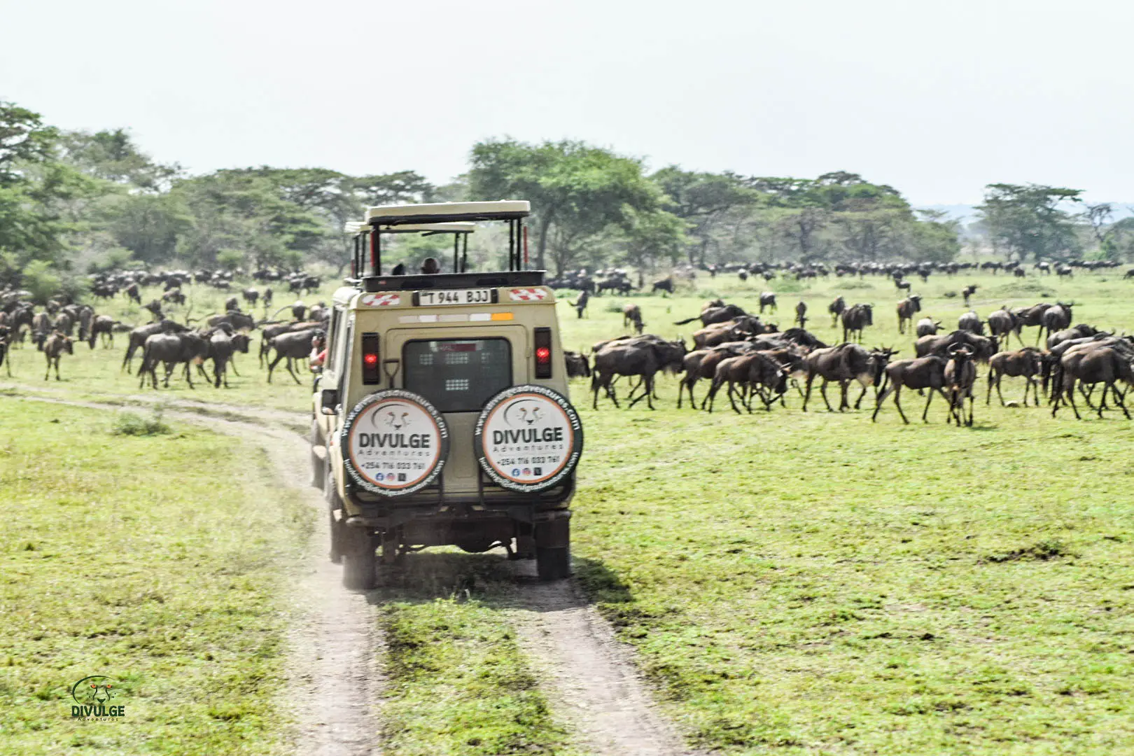 6-Day Tarangire, Serengeti and Ngorongoro Crater Midrange Safari