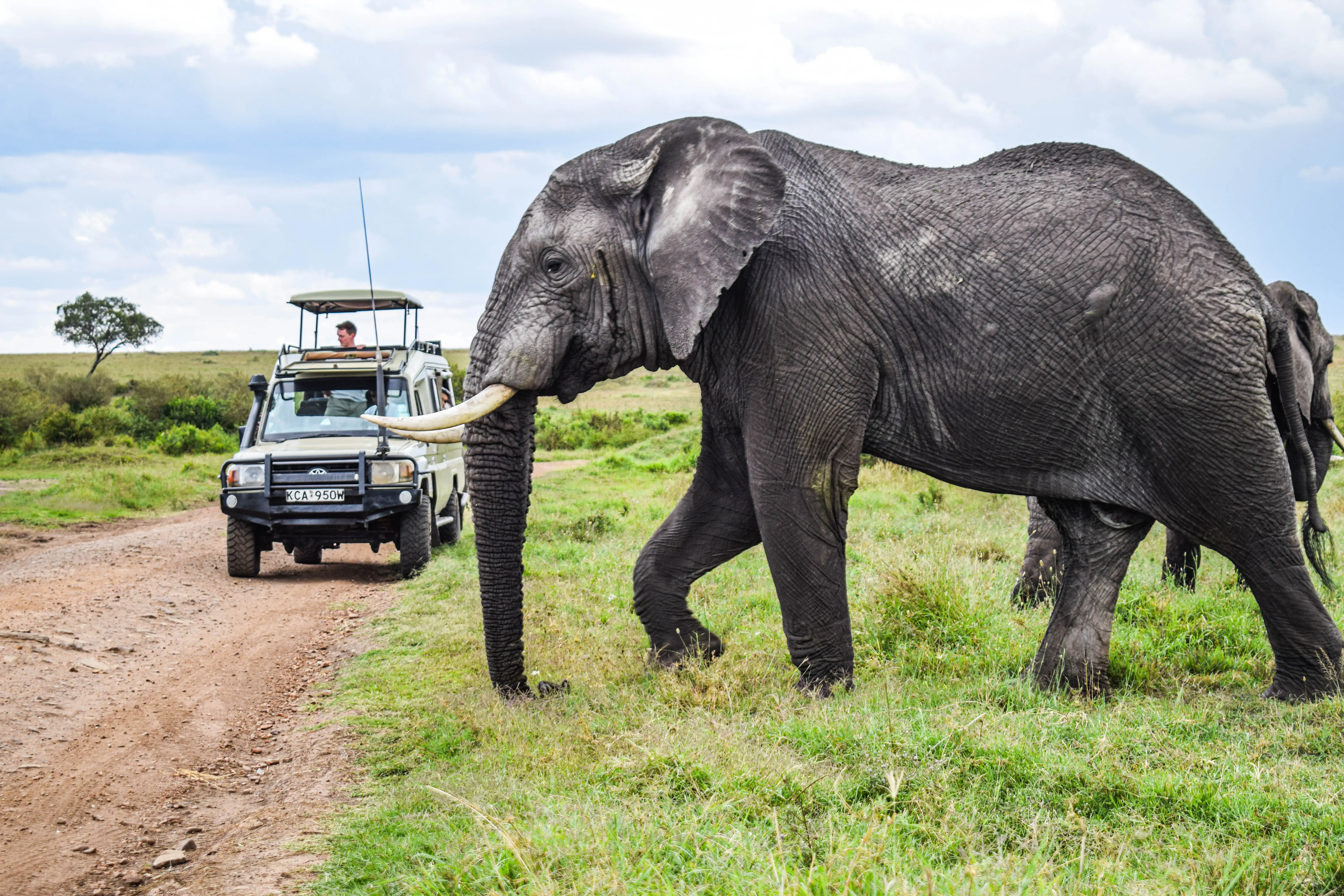 4-Day Lake Nakuru and Masai Mara Mid Range Safari