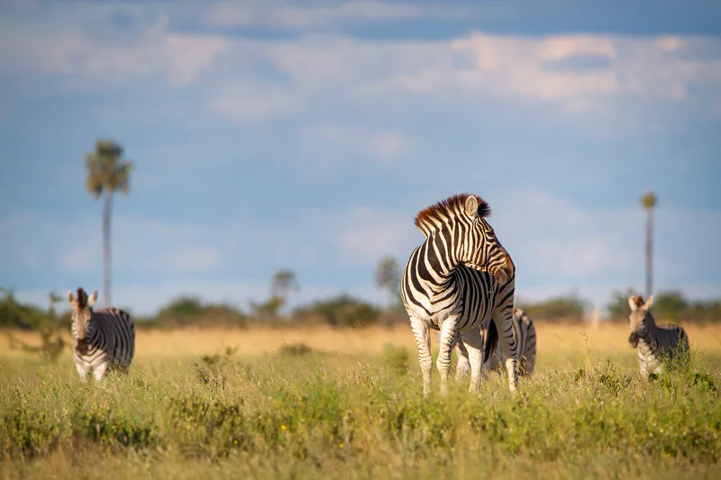 4Days_3 Nights_Lake Manyara Serengeti & Ngorongoro