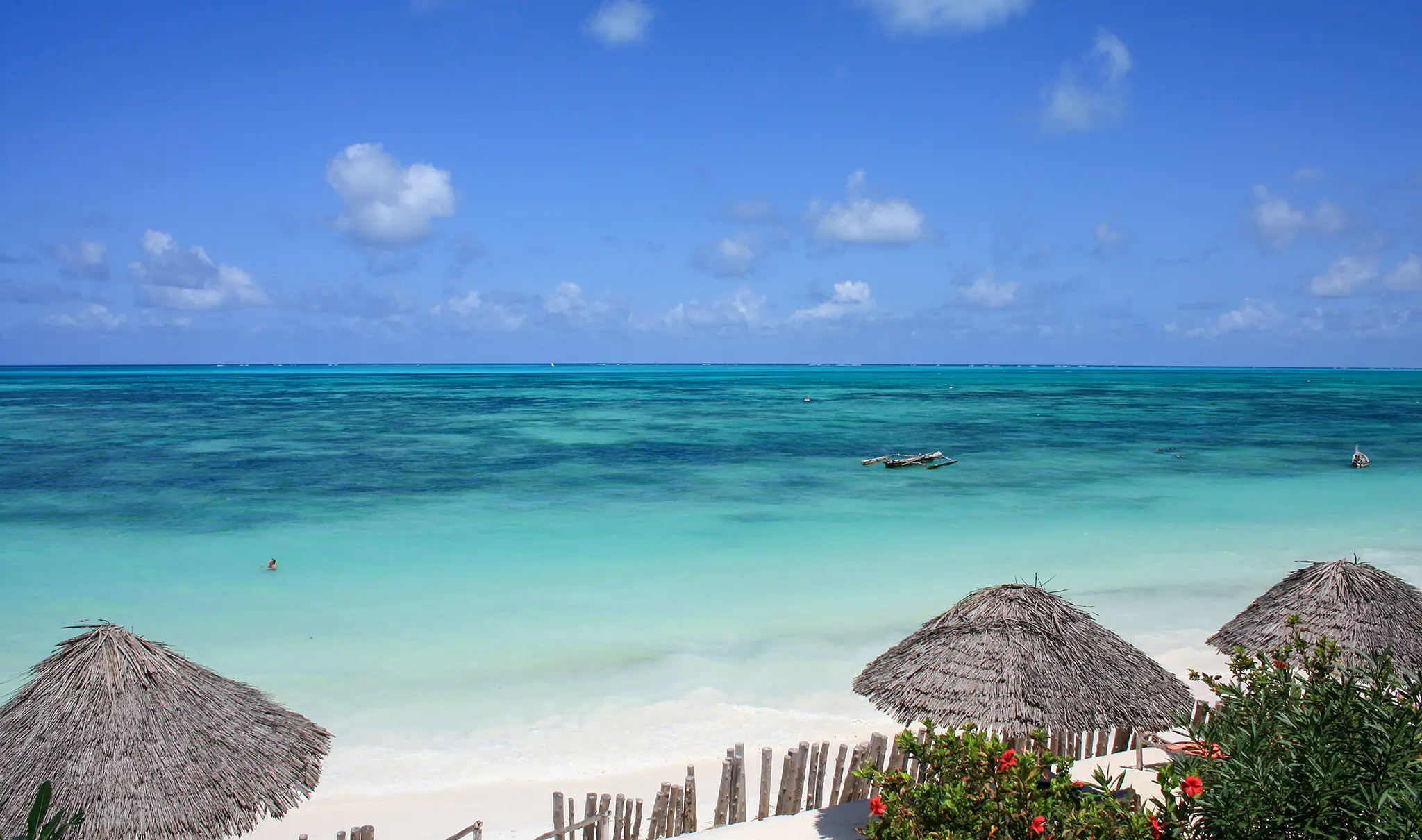 Safari to Beach Expedition – 12 Days Kenya, Tanzania & Zanzibar