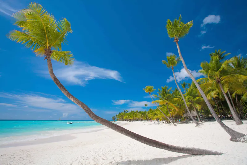 Safari to Beach Expedition – 12 Days Kenya, Tanzania & Zanzibar