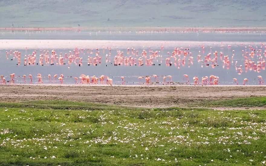 6-Day Tanzania Low Season Safari: Tarangire, Serengeti and Ngorongoro Crater