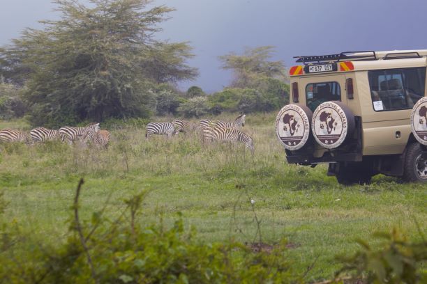4 DAYS TANZANIA SAFARI