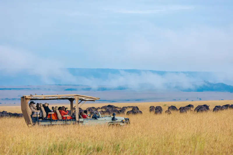 9-Days Kenya and Tanzania Chinease New Year Private Safari offer !!