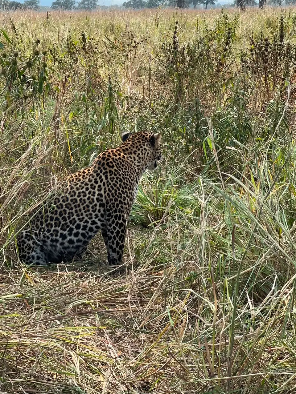 3 Day Serengeti explorer safari