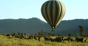 6 - Days Night gamedrive & Balloon safari