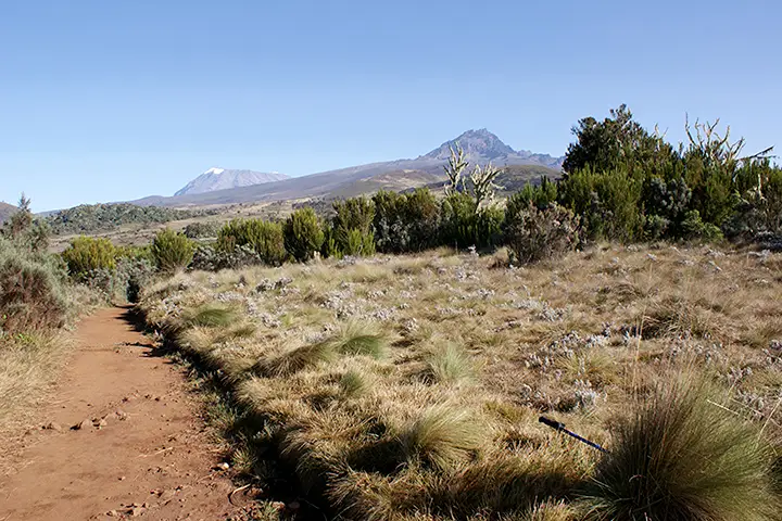 Kilimanjaro Day Trip Hike (marangu route)