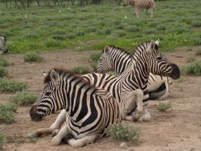5-Day Etosha National Park.