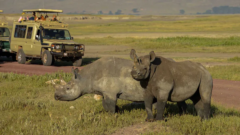 6 Days Wildlife and Cultural Tourism