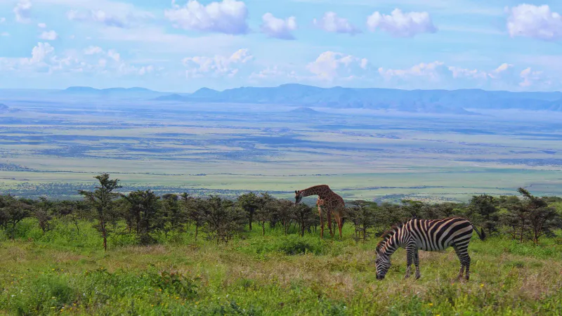 4Days_3 Nights_Tarangire Serengeti Ngorongoro & Manyara