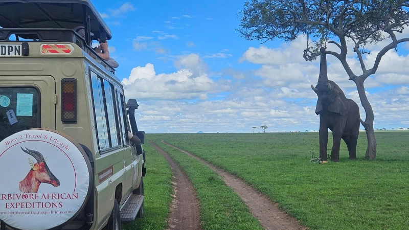 8-Day Great Wildebeest Migration ( May-June), Tarangire, Central & Western Serengeti and Ngorongoro Crater