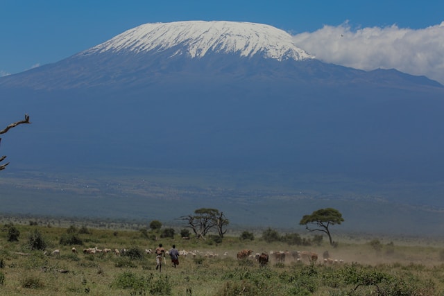12-Day Explore wonders of Kenya, Tanzania & Zanzibar Family Safari