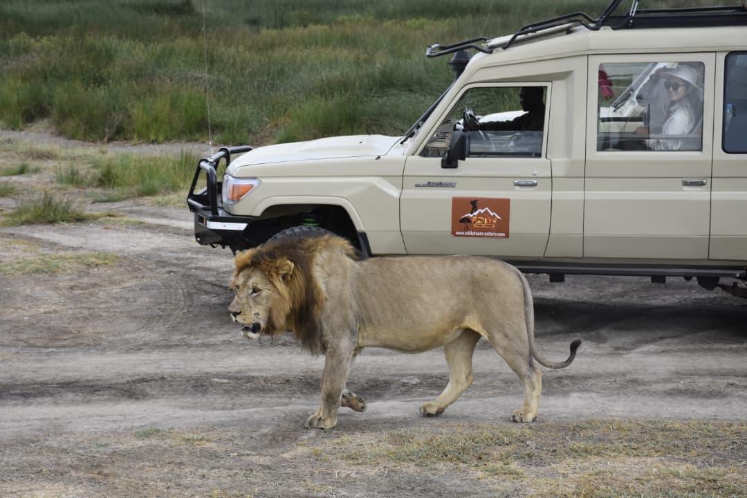 4-Days Group Joining Safari