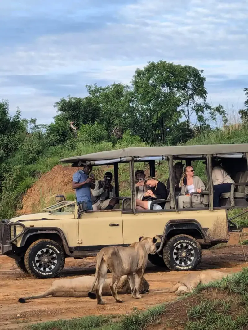 4-Day Mikumi & Udzungwa Mountains National Park Safari