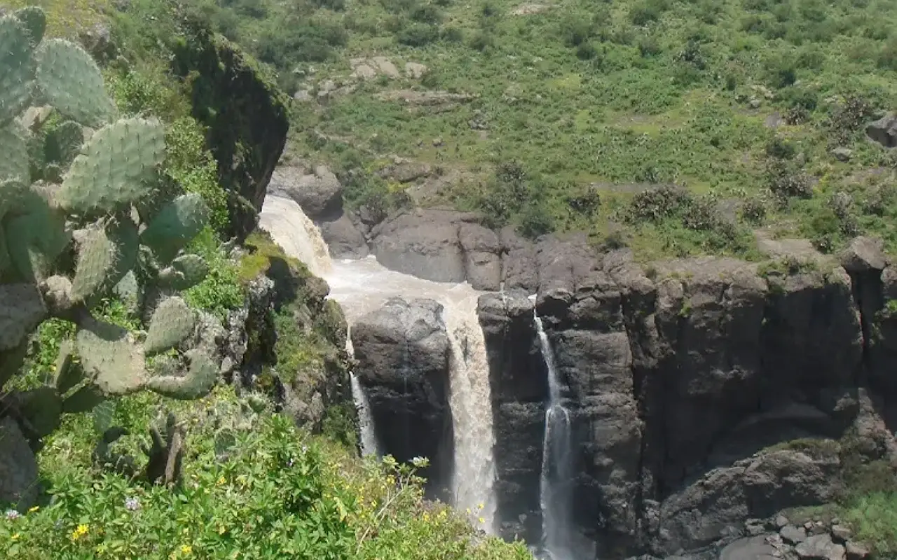 1-Day Debre Libanos & Portuguese Bridge Excursion