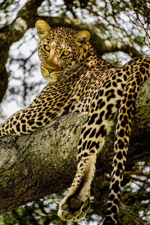 4-Day Magic Experience Safari Mix Lodge & Camp