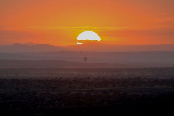 7 - Day Big five All inclusive luxury Safari