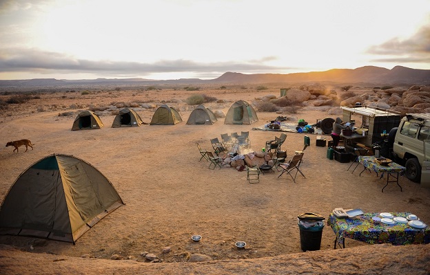 Pangolin Conservation Tour - Nature Travel Namibia - Safarigo