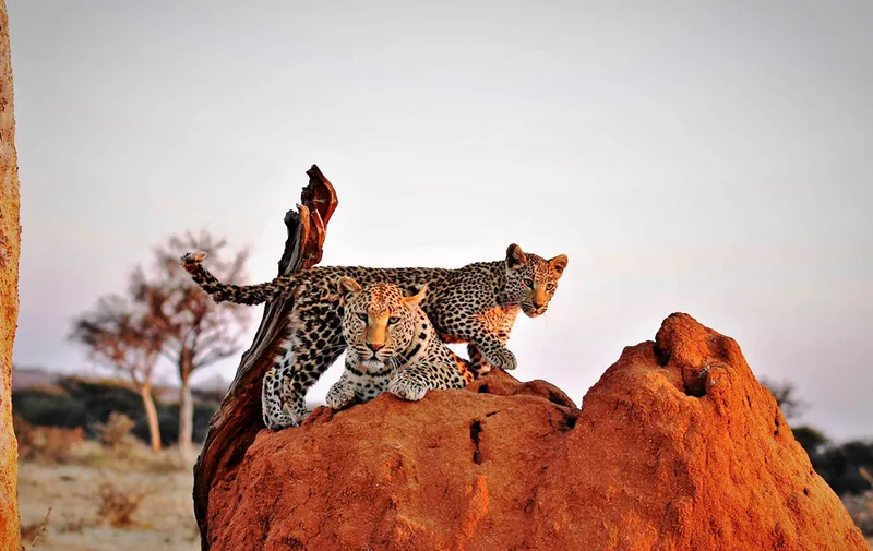 7-Day Namibian Central Plateau Tour