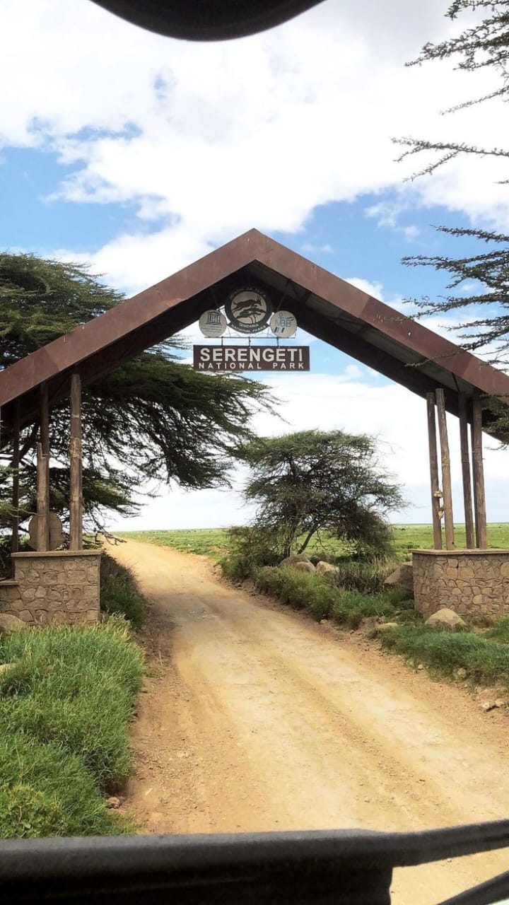 10 - Day Lake Nakuru, Masai Mara, Serengeti, Ngorongoro Safari